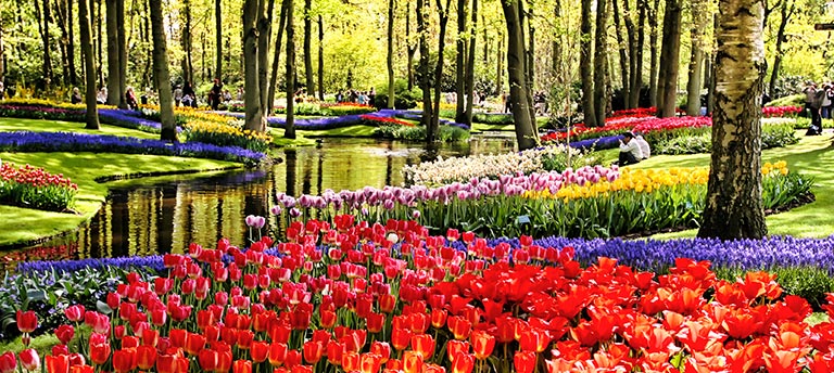 The Keukenhof Gardens